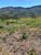 Fazenda-Sítio-Chácara, 539 hectares - Foto 9