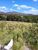 Fazenda-Sítio-Chácara, 539 hectares - Foto 12