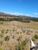 Fazenda-Sítio-Chácara, 539 hectares - Foto 7