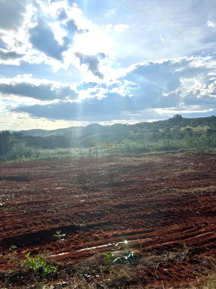 Terreno, 2 hectares - Foto 4