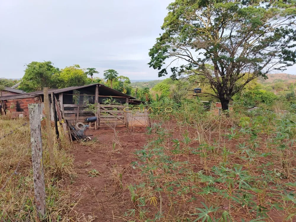 Fazenda à venda com 3 quartos, 5000m² - Foto 4