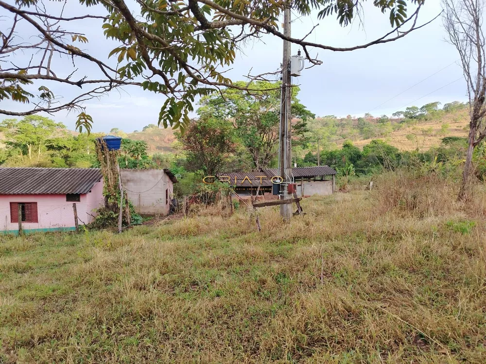 Fazenda à venda com 3 quartos, 5000m² - Foto 3