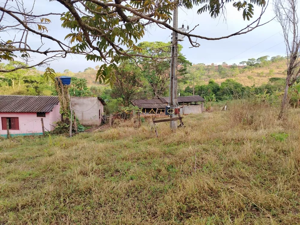 Fazenda à venda com 3 quartos, 5000m² - Foto 1