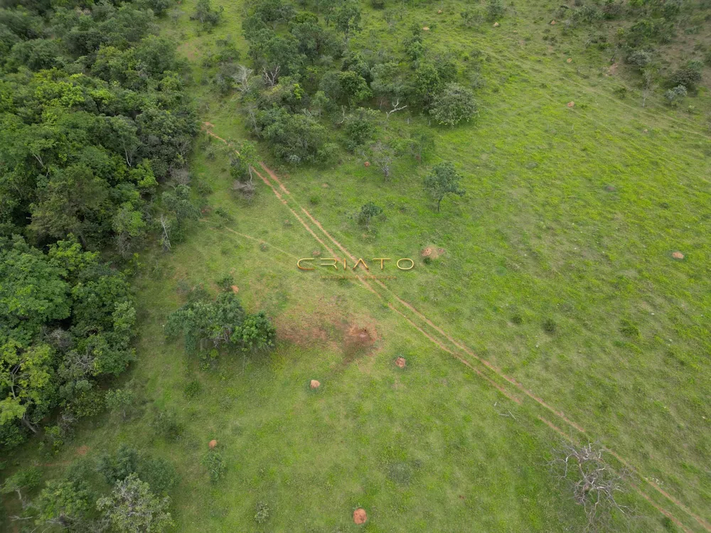 Fazenda à venda, 96000m² - Foto 3