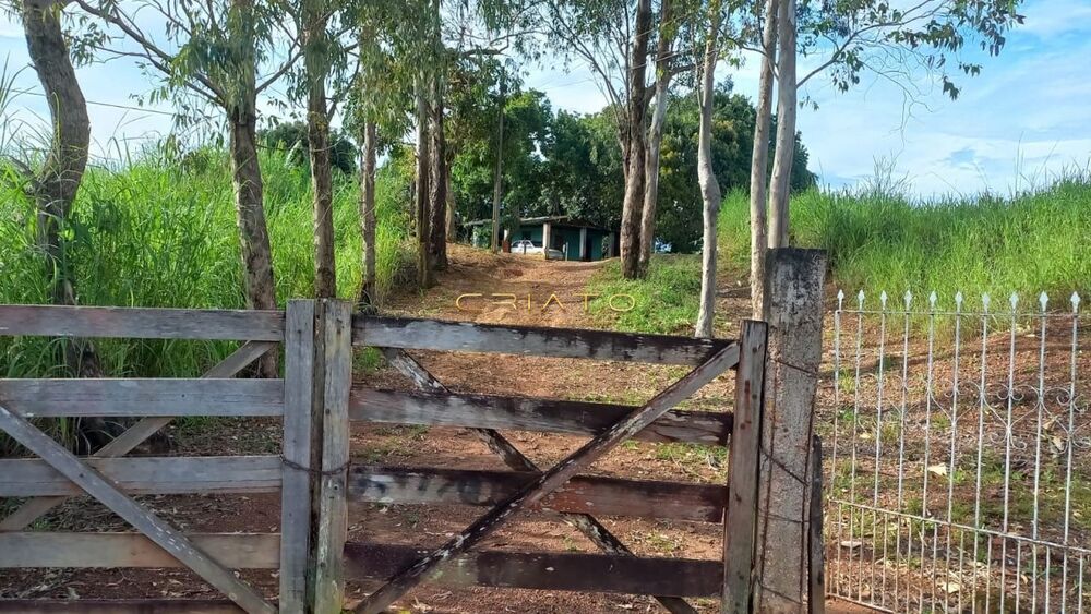 Terreno, 2 hectares - Foto 2