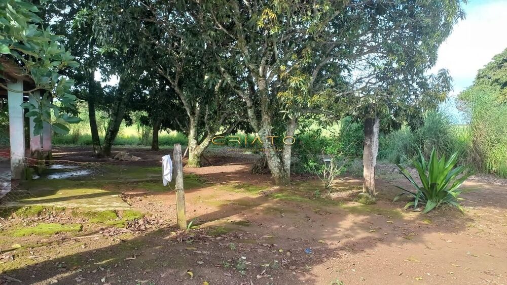 Terreno, 2 hectares - Foto 9
