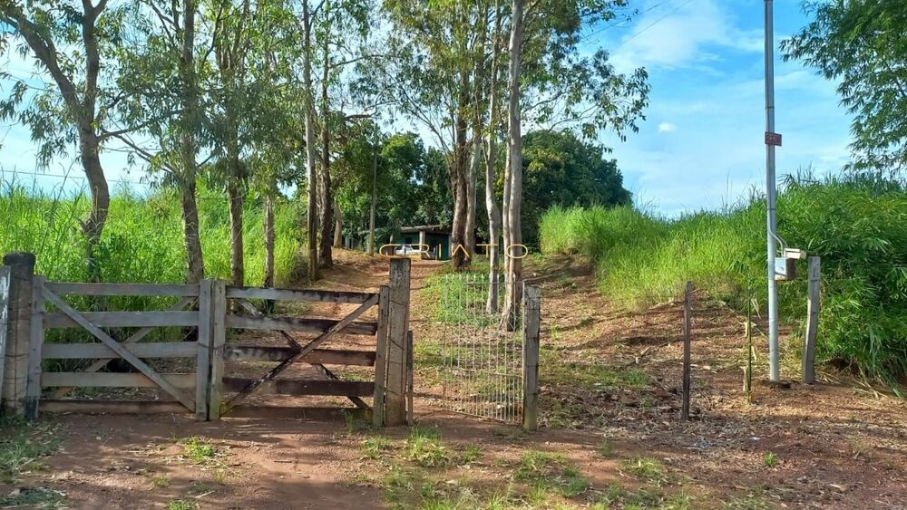 Terreno, 2 hectares - Foto 11