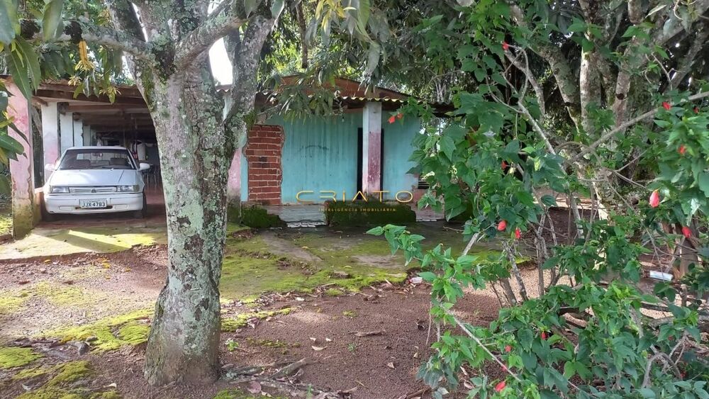 Terreno, 2 hectares - Foto 5