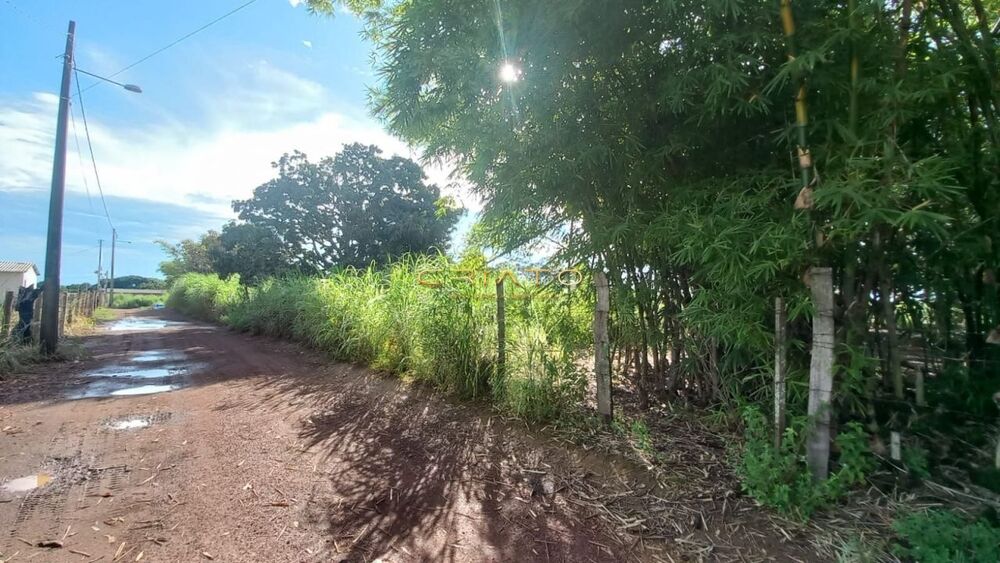 Terreno, 2 hectares - Foto 8