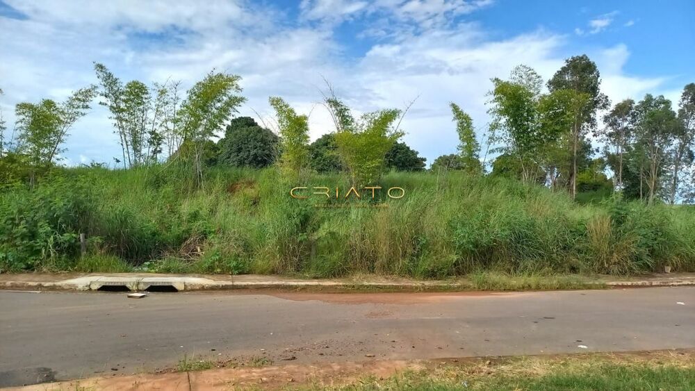 Terreno, 2 hectares - Foto 4