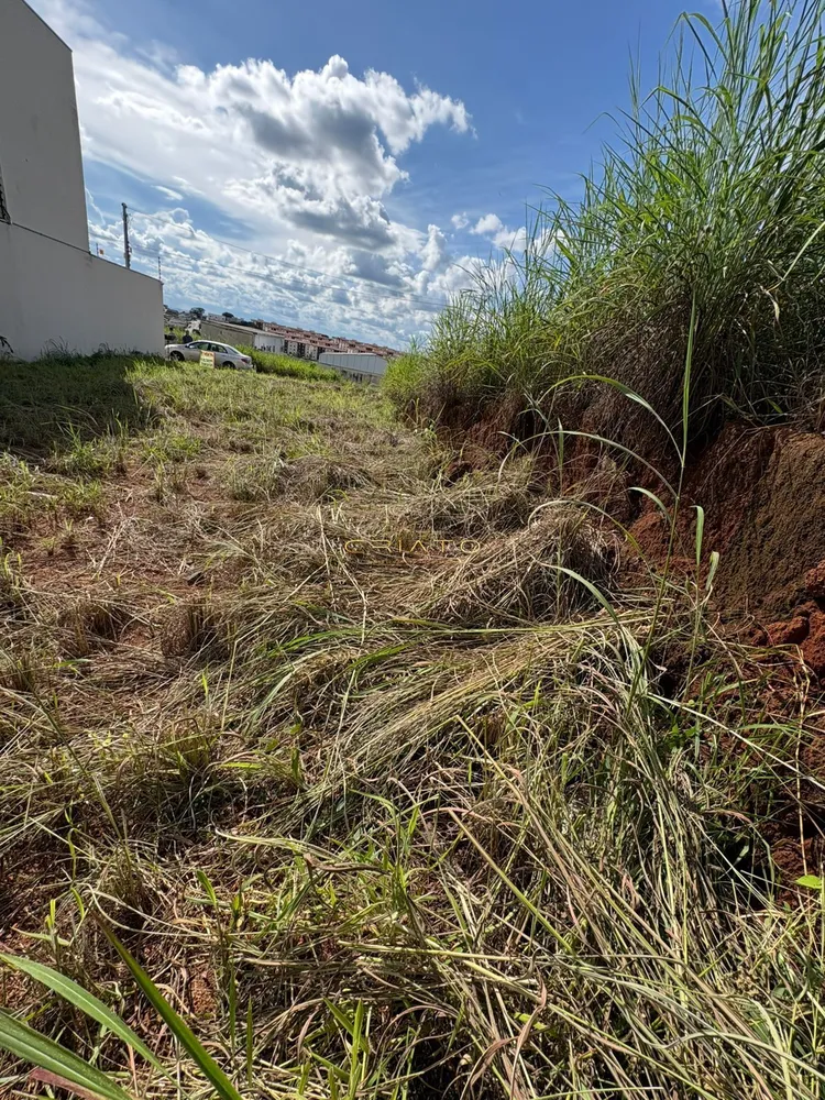 Terreno, 300 m² - Foto 6