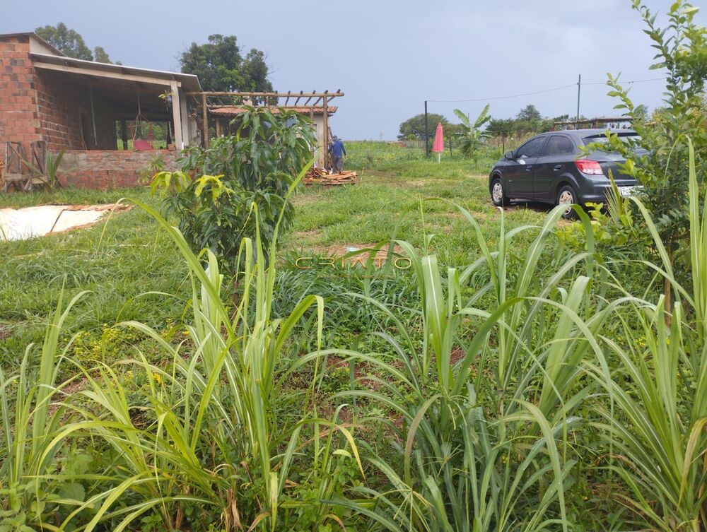 Chácara à venda com 2 quartos, 1900m² - Foto 3