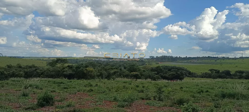 Fazenda à venda, 1000m² - Foto 4