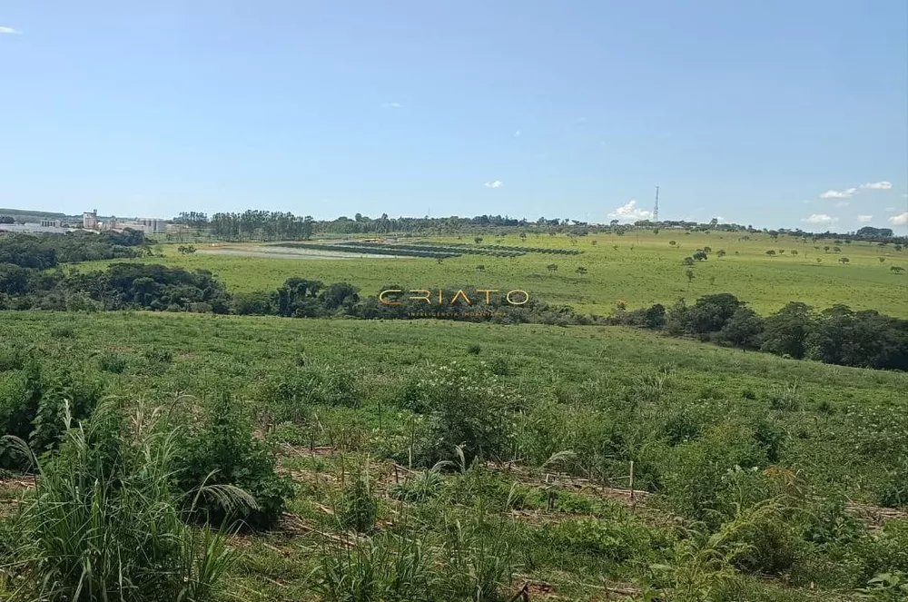 Fazenda à venda, 1000m² - Foto 1