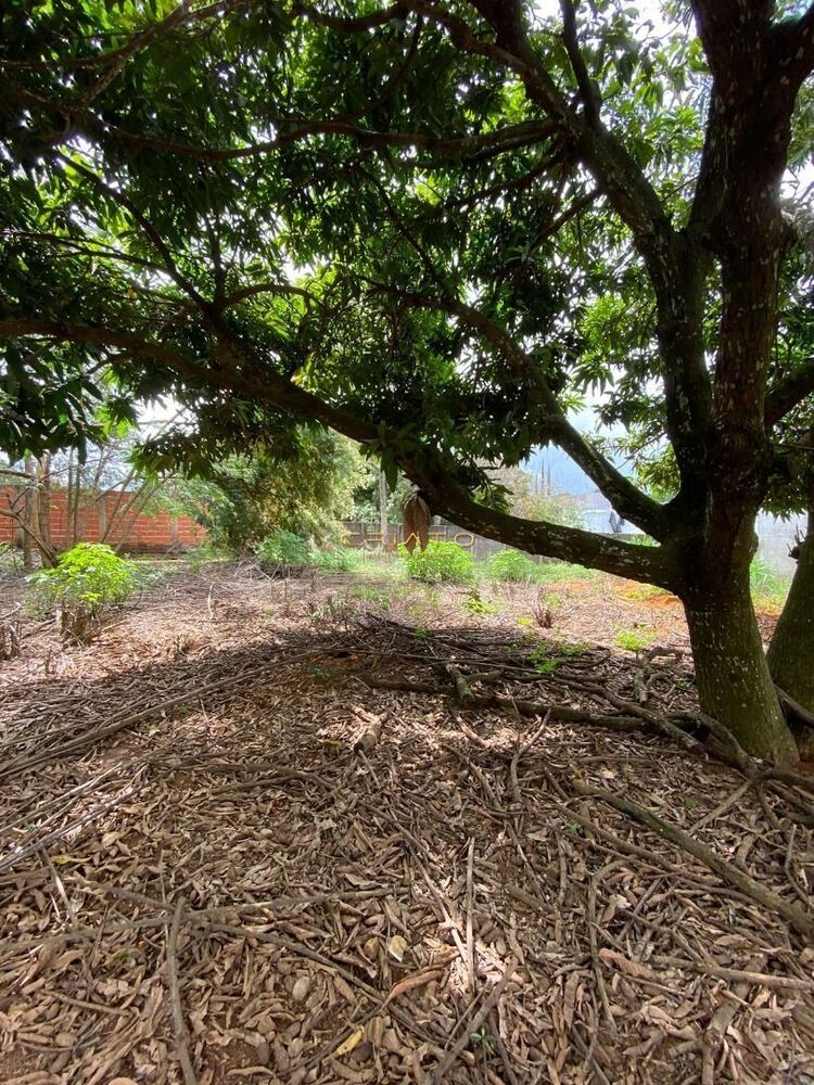 Terreno, 3160 m² - Foto 2