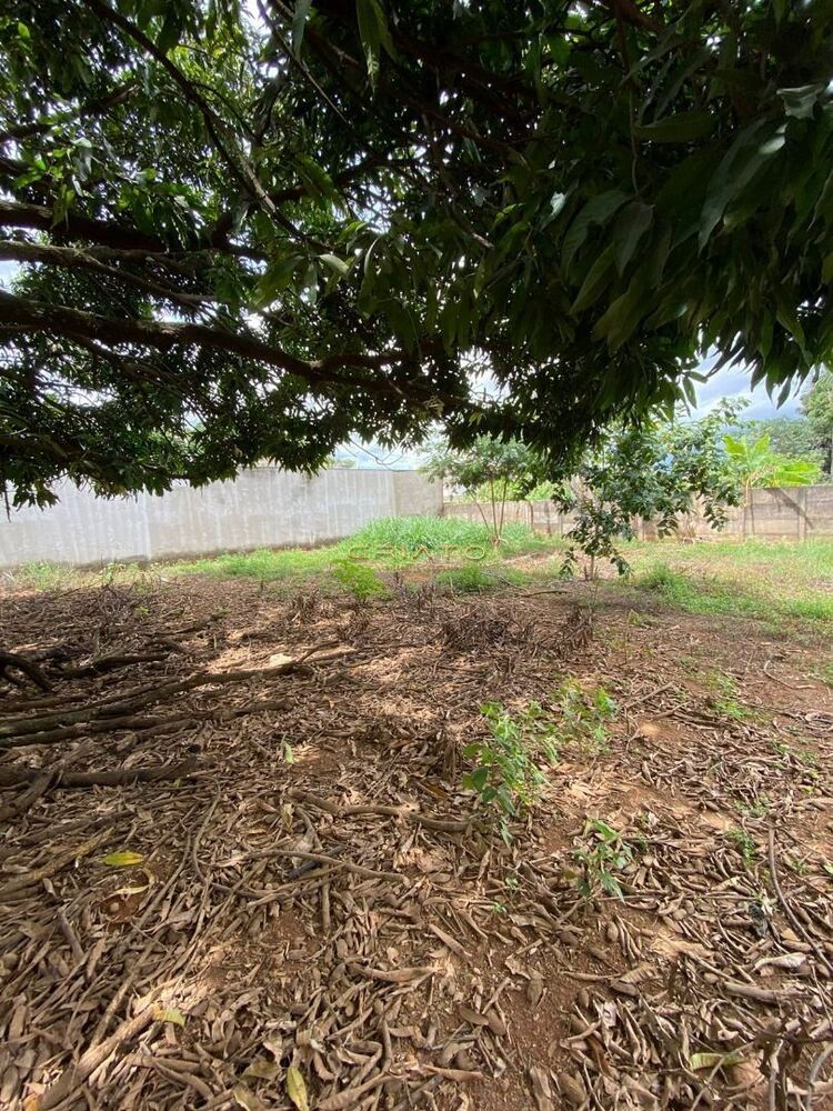 Terreno, 3160 m² - Foto 5