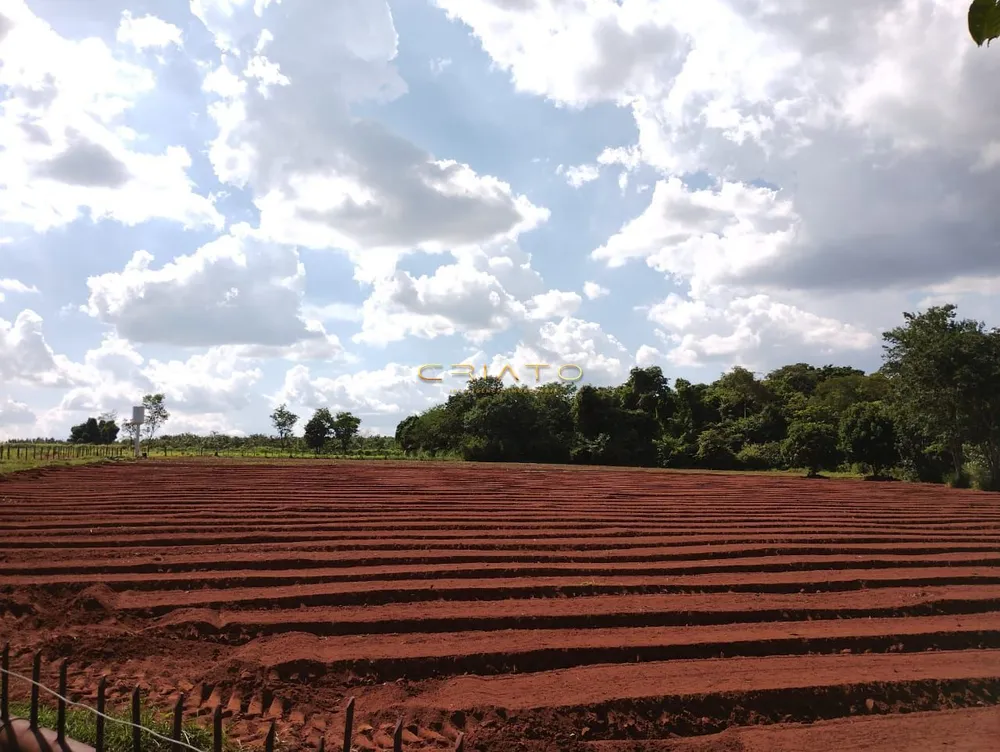 Chácara, 2 quartos, 7000 m² - Foto 12