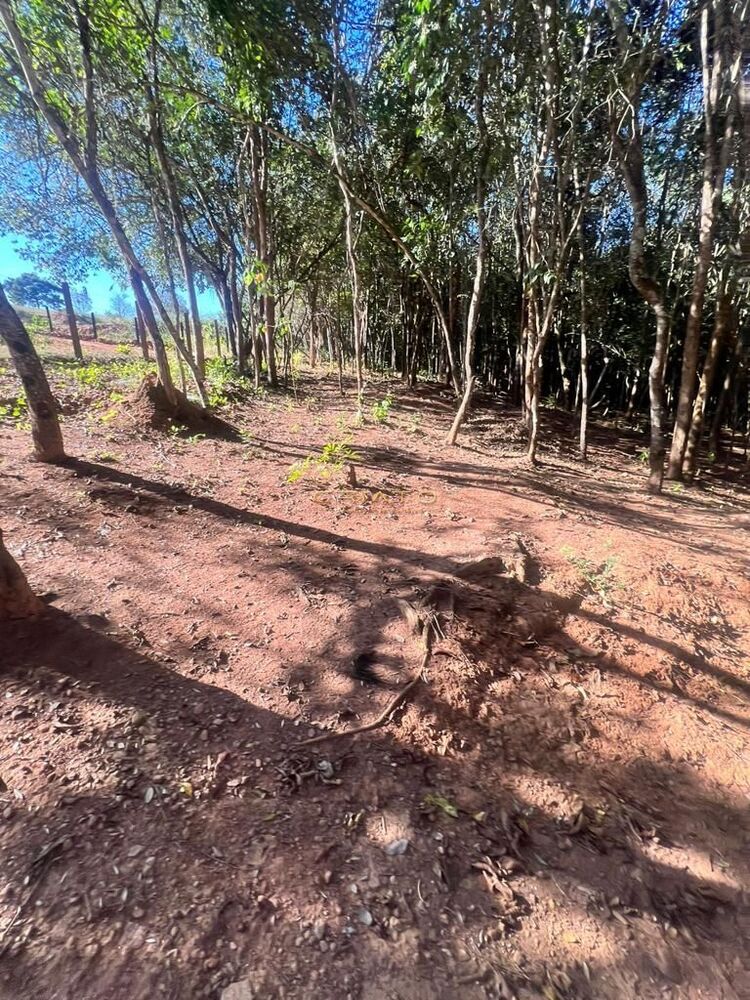 Chácara à venda com 2 quartos, 48400m² - Foto 17