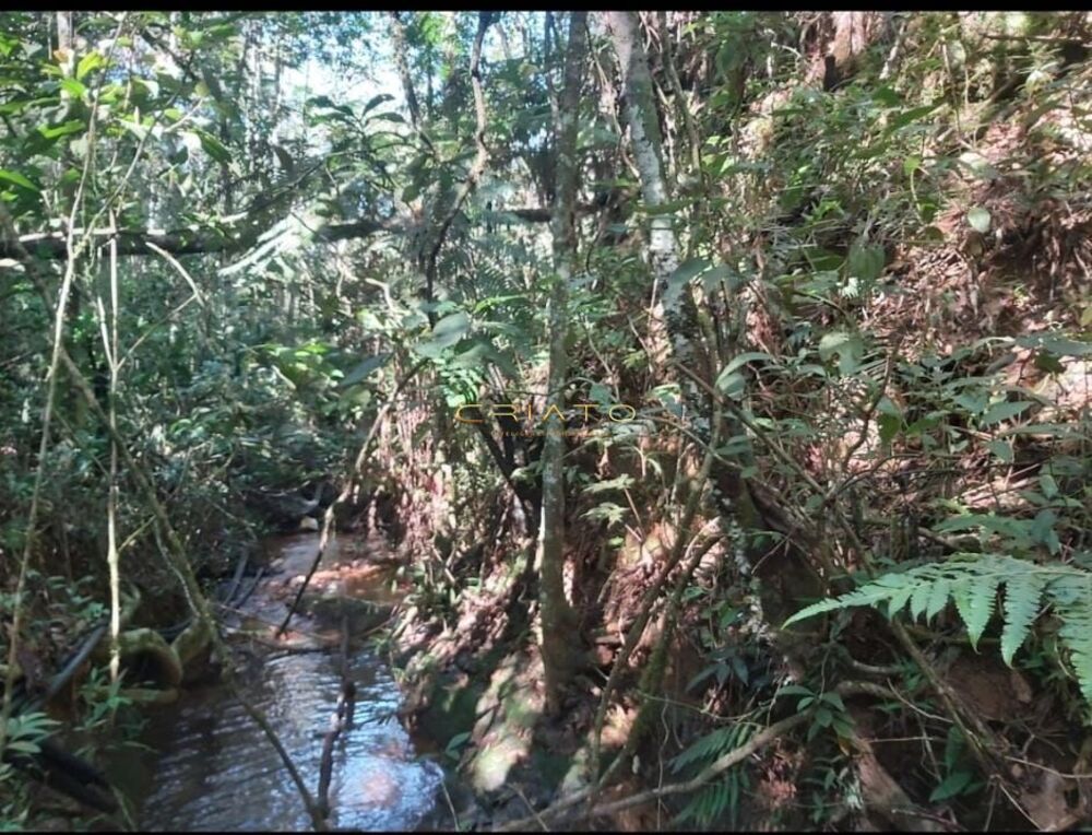 Chácara à venda com 2 quartos, 48400m² - Foto 13
