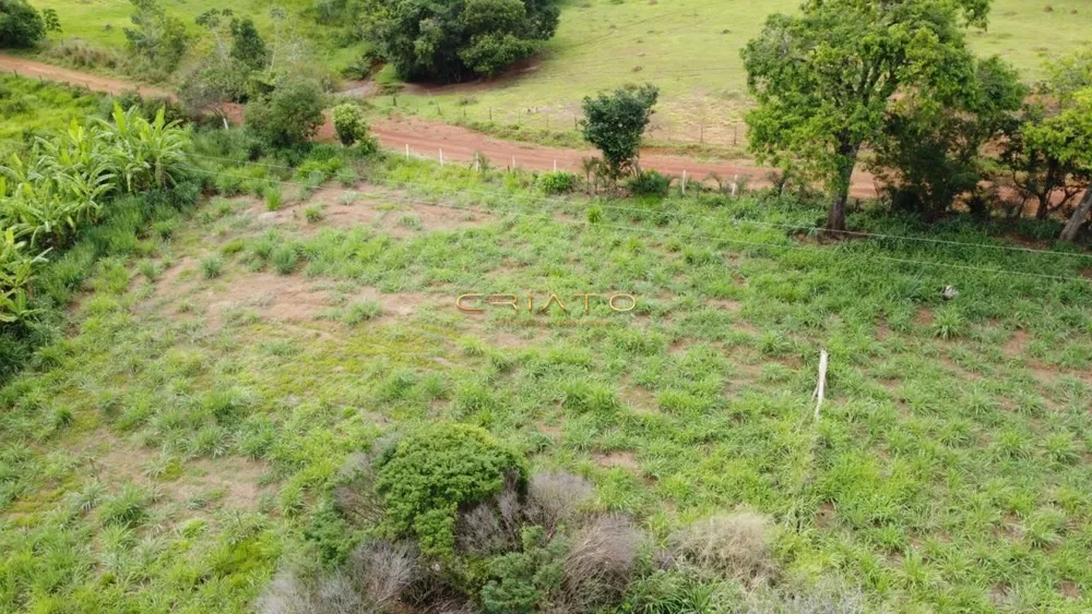 Terreno à venda, 2000m² - Foto 2