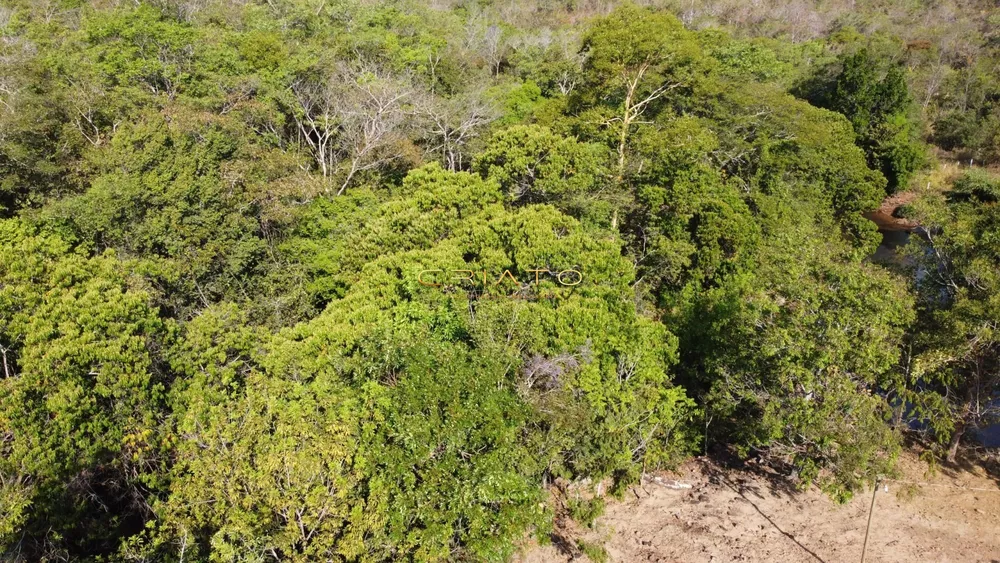 Fazenda à venda - Foto 2