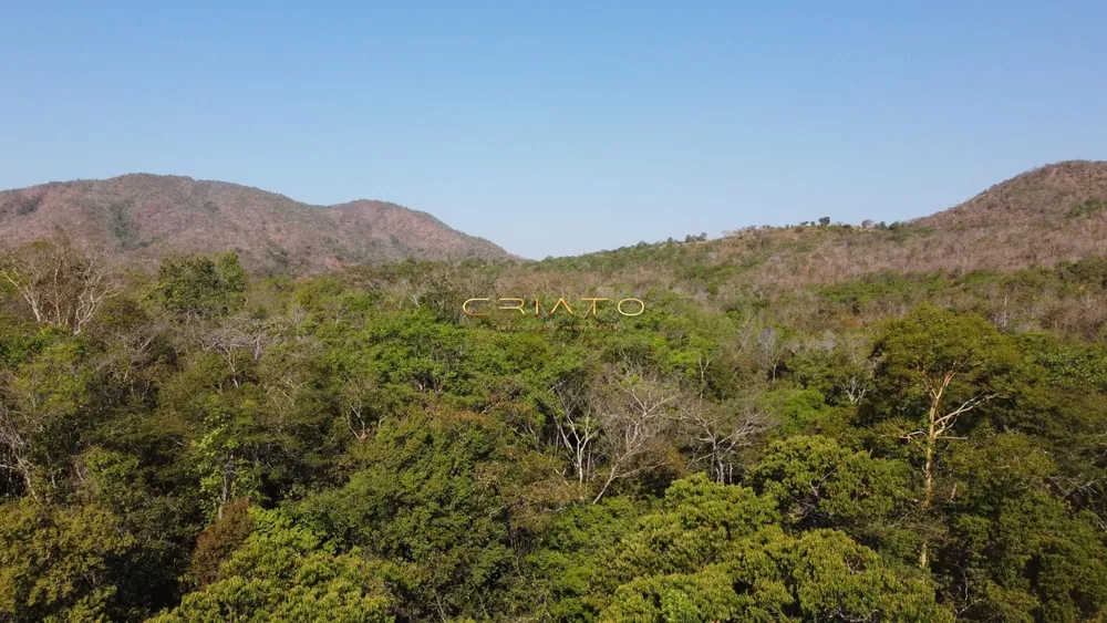 Fazenda à venda - Foto 4