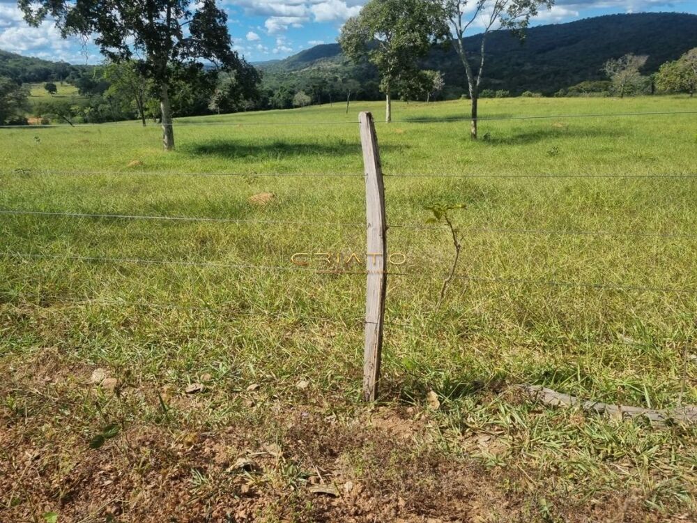 Fazenda à venda, 15000m² - Foto 6