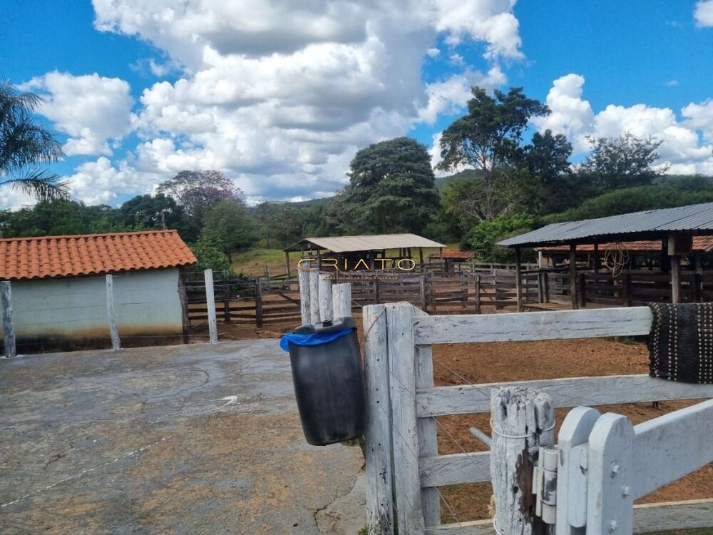 Fazenda à venda, 15000m² - Foto 17