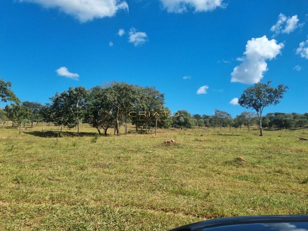 Fazenda à venda, 15000m² - Foto 3