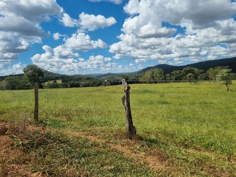 Fazenda à venda, 15000m² - Foto 5