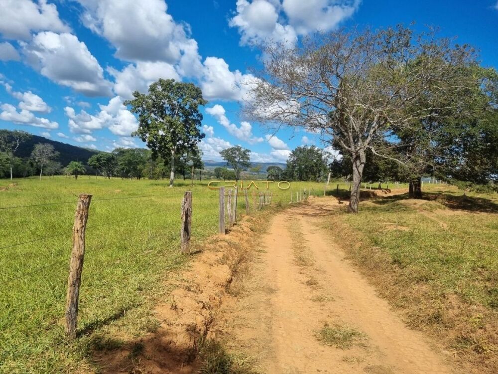 Fazenda à venda, 15000m² - Foto 4