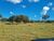 Fazenda, 145 hectares - Foto 3