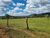 Fazenda, 145 hectares - Foto 5