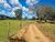 Fazenda, 145 hectares - Foto 4