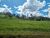 Fazenda-Sítio-Chácara, 145 hectares - Foto 9