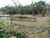 Fazenda-Sítio-Chácara, 4500 hectares - Foto 12