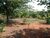 Fazenda-Sítio-Chácara, 4500 hectares - Foto 11