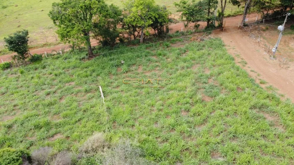 Fazenda à venda, 2000m² - Foto 3