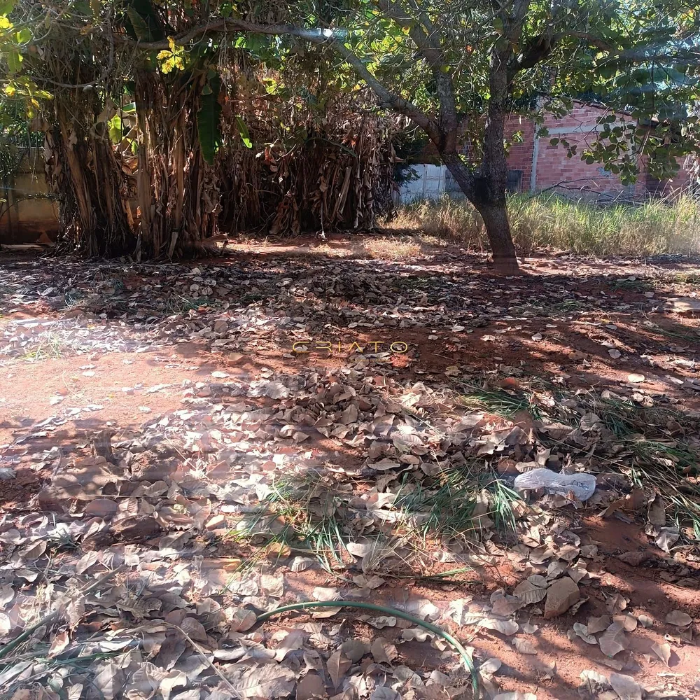 Loteamento e Condomínio, 1000 m² - Foto 4