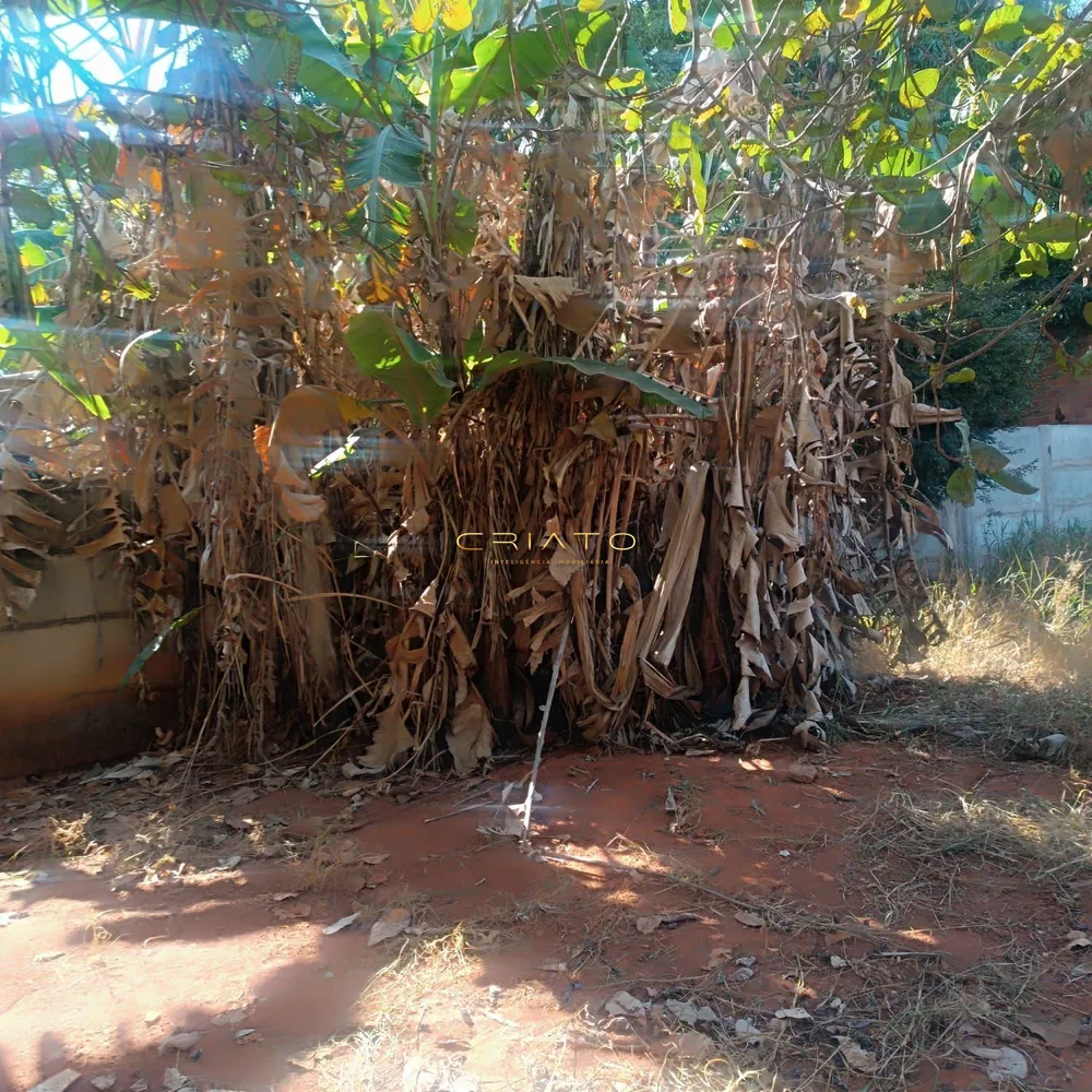 Loteamento e Condomínio, 1000 m² - Foto 5
