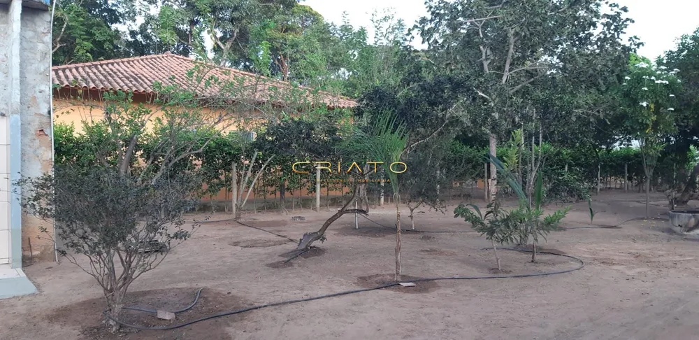 Chácara, 2 quartos, 1200 m² - Foto 7