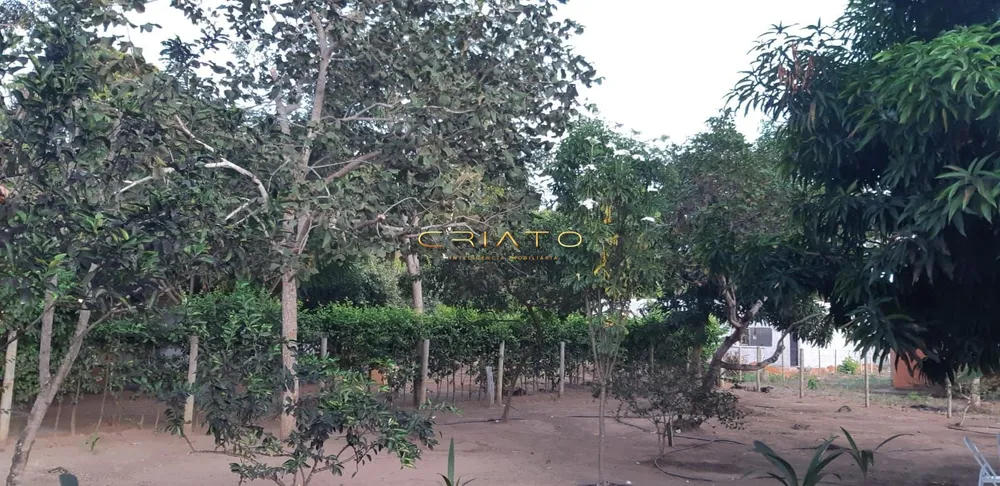 Chácara, 2 quartos, 1200 m² - Foto 8