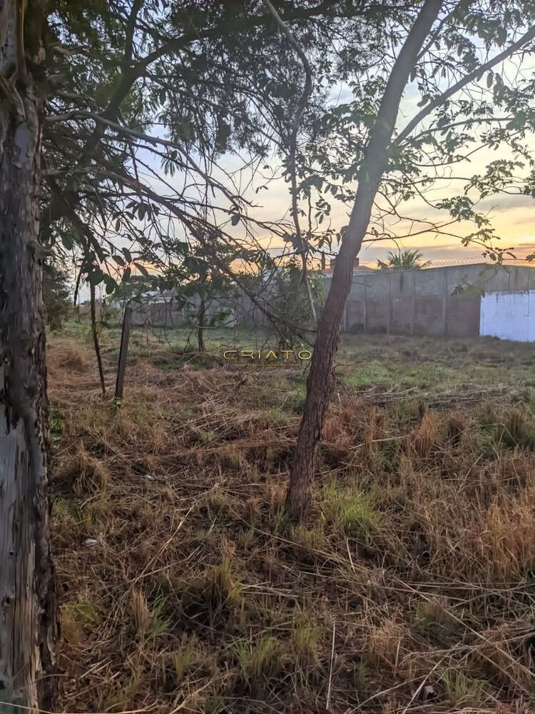 Terreno, 432 m² - Foto 3