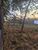 Terreno, 432 m² - Foto 5