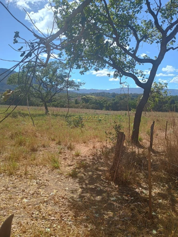 Fazenda à venda com 2 quartos, 5390000m² - Foto 3