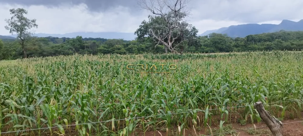 Fazenda à venda com 2 quartos, 5390000m² - Foto 2