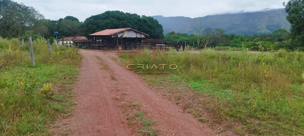 Fazenda à venda com 2 quartos, 5390000m² - Foto 1