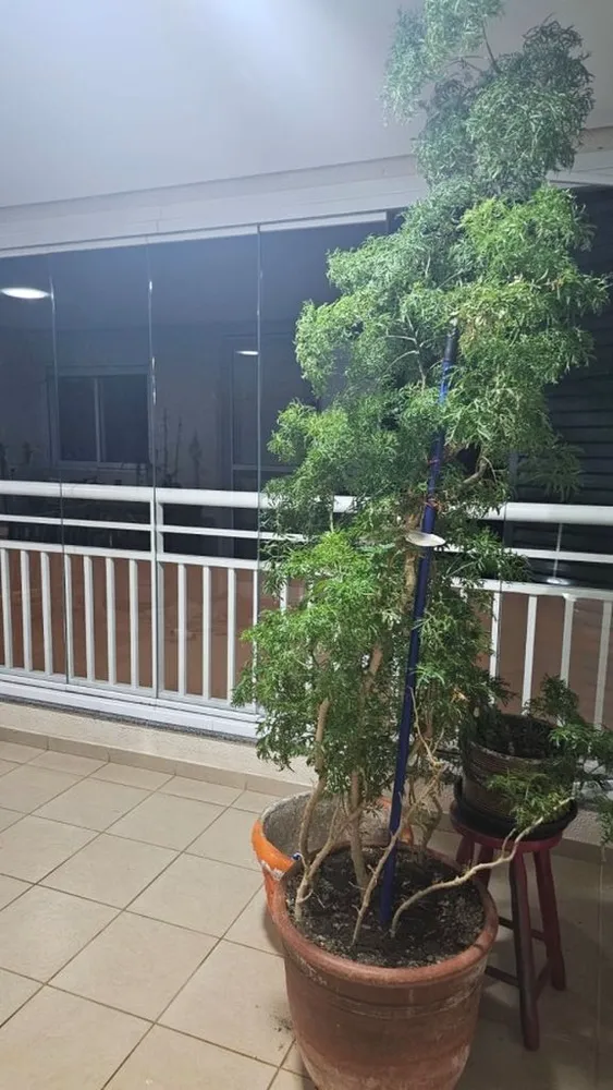 Apartamento, 3 quartos, 84 m² - Foto 5