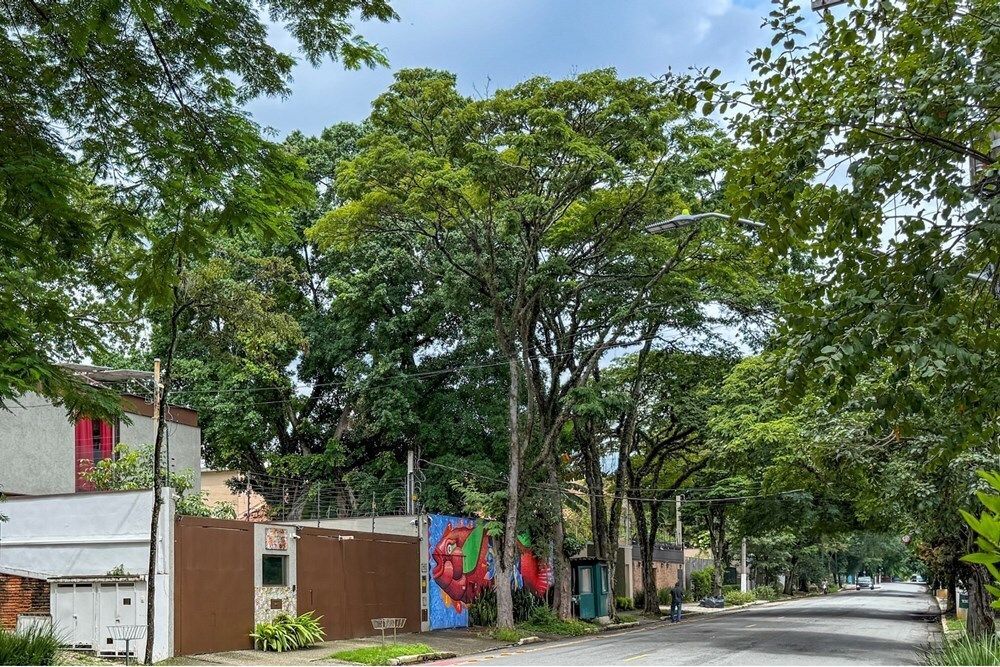 Loteamento e Condomínio - Foto 8