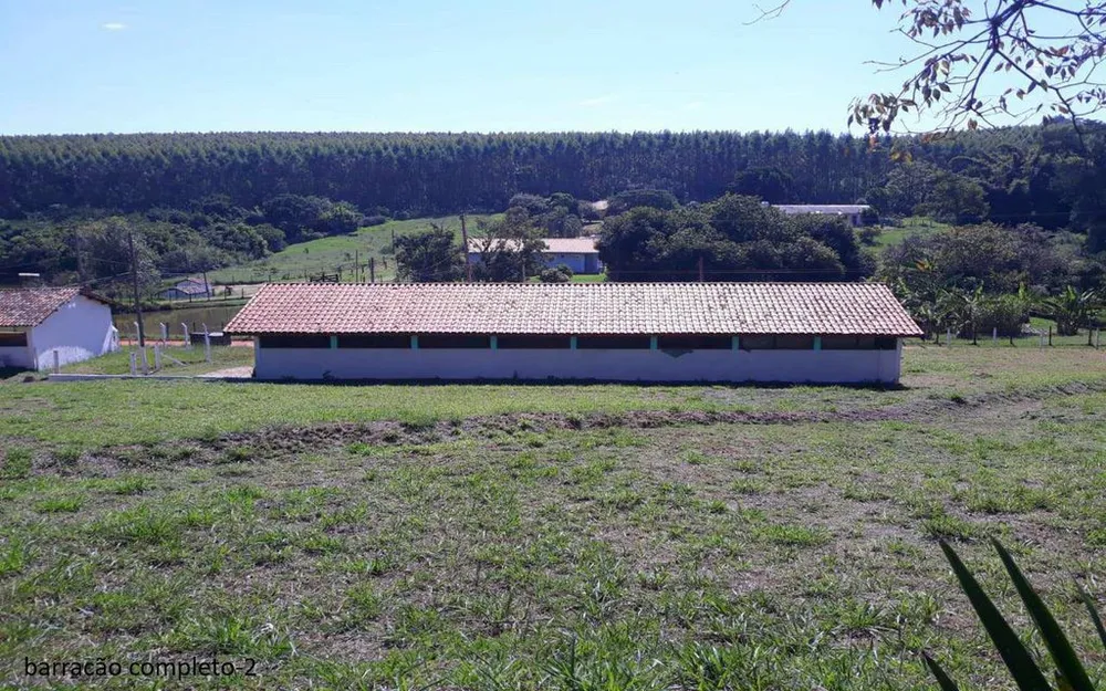 Sítio, 16600 m² - Foto 6